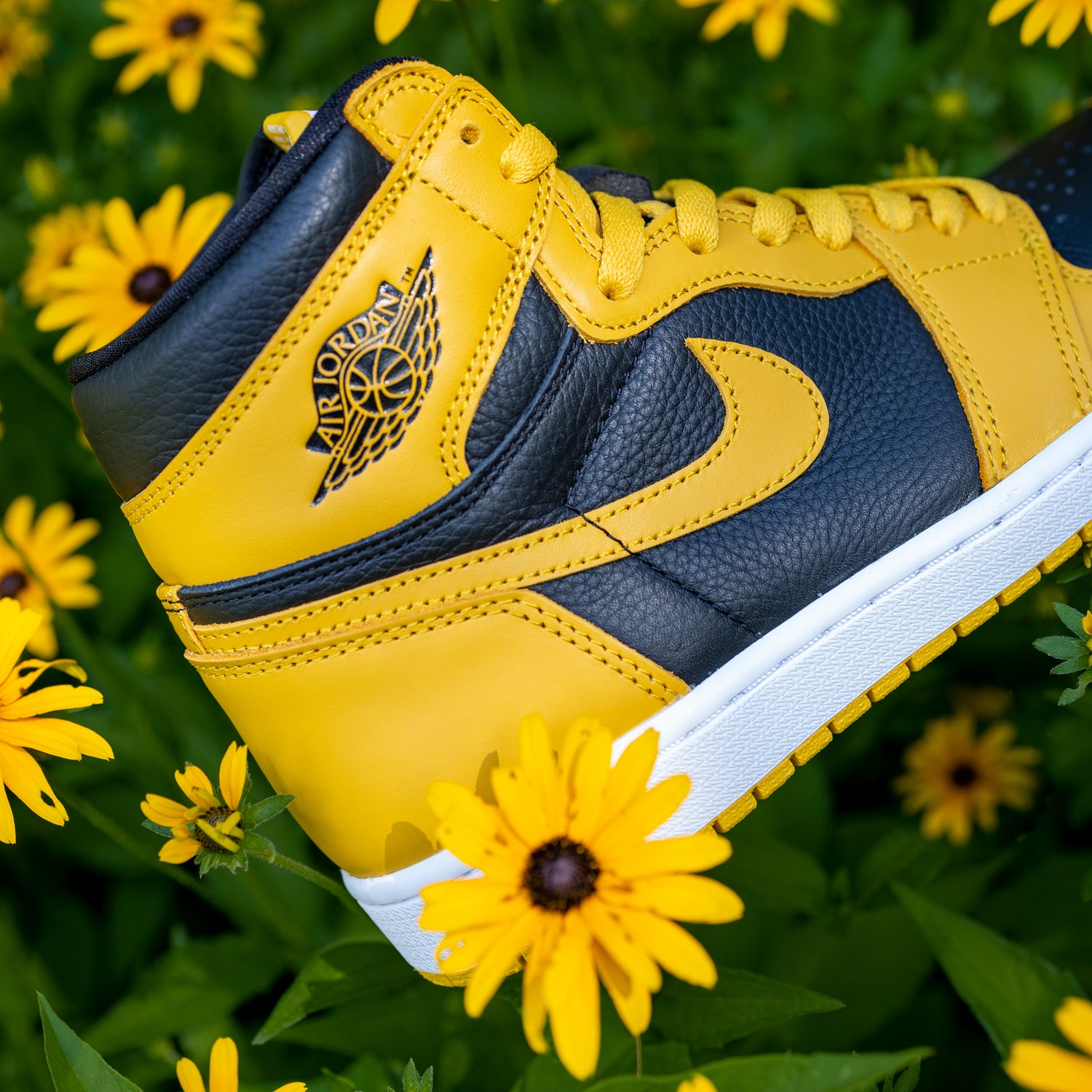 Air Jordan 1 High OG 'Pollen'