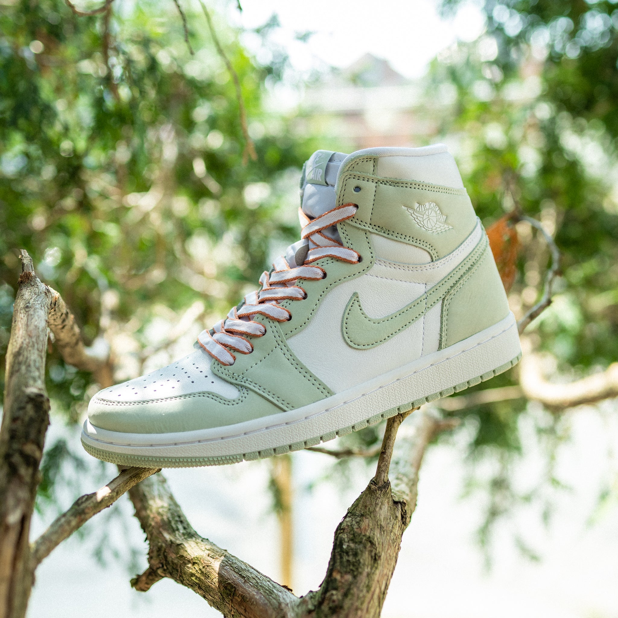 Women's Air Jordan 1 High OG 'Seafoam'