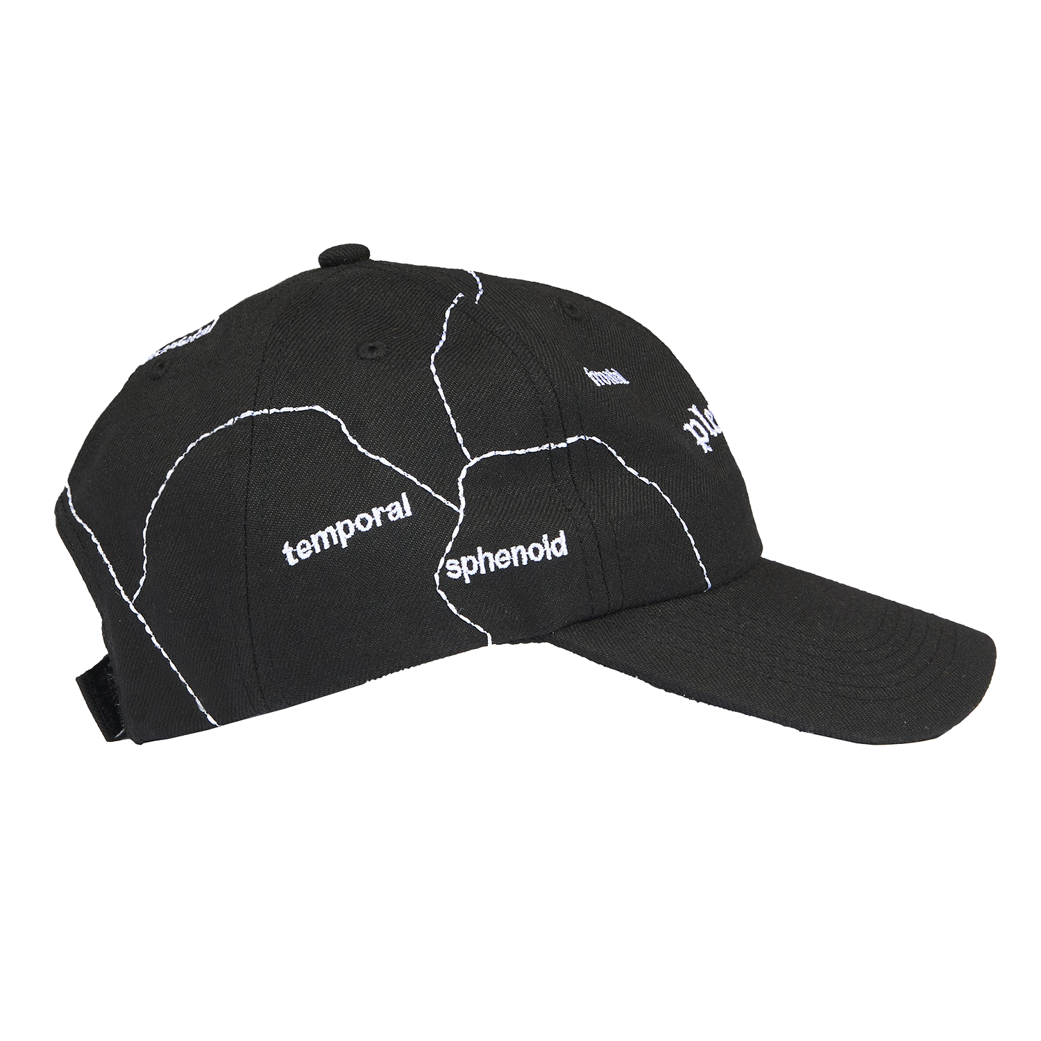 Pleasures Think 6 Panel Hat 'Black'
