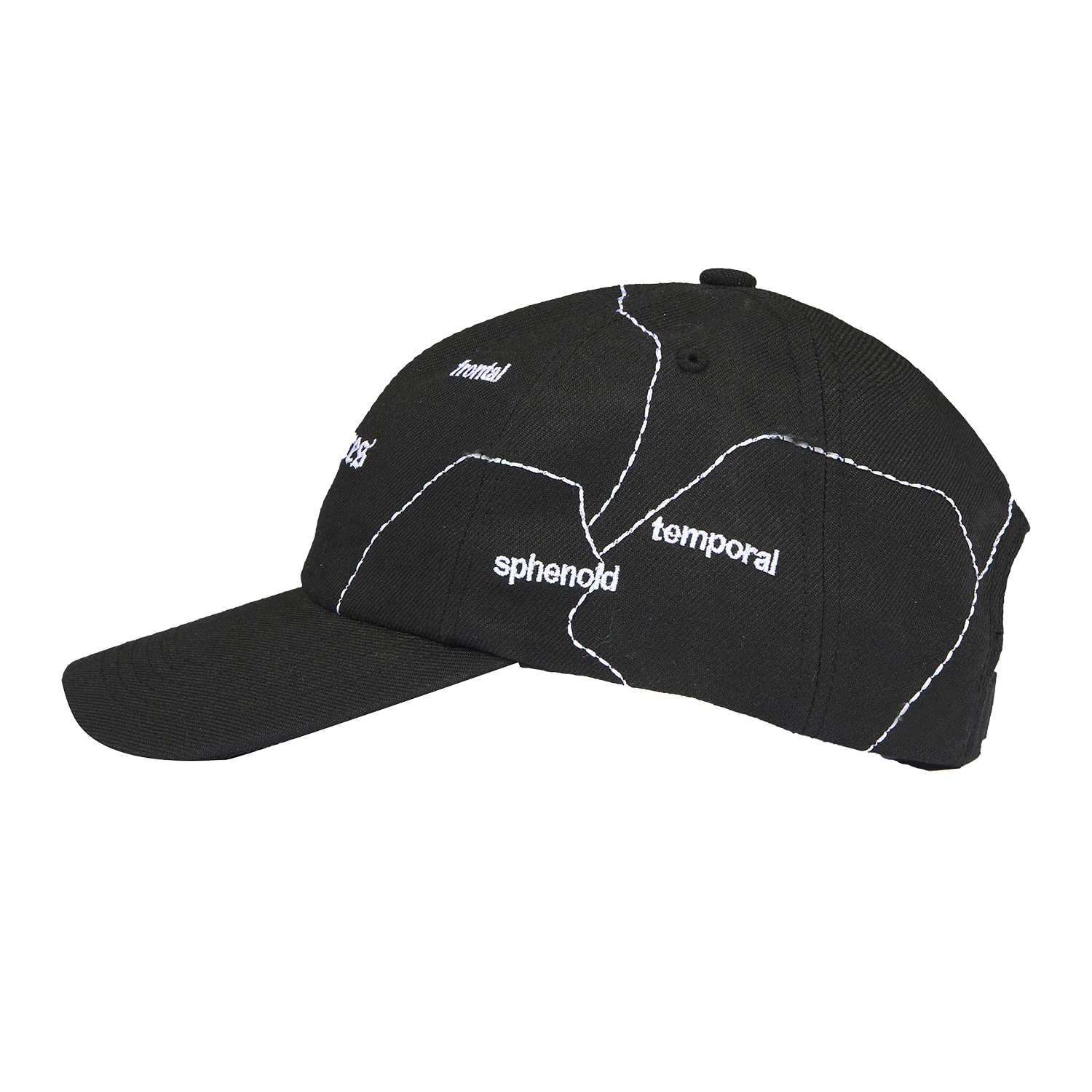 Pleasures Think 6 Panel Hat 'Black'