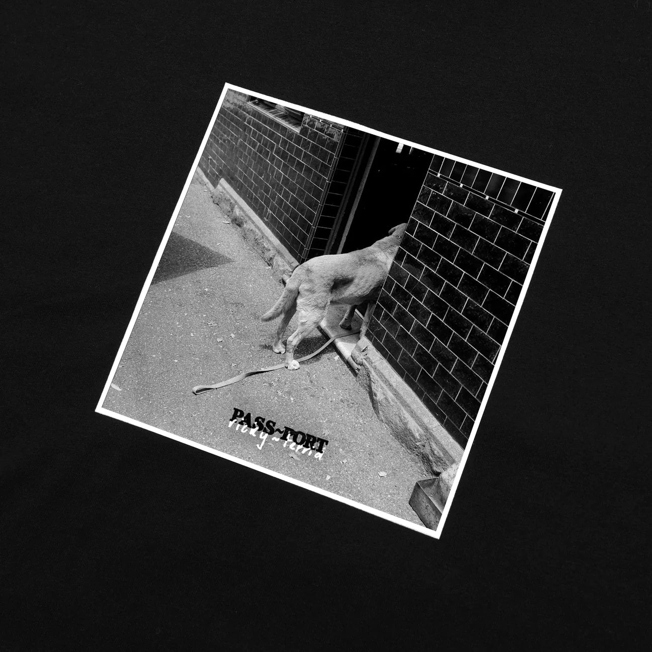 Passport Pub Dog Tee 'Black'