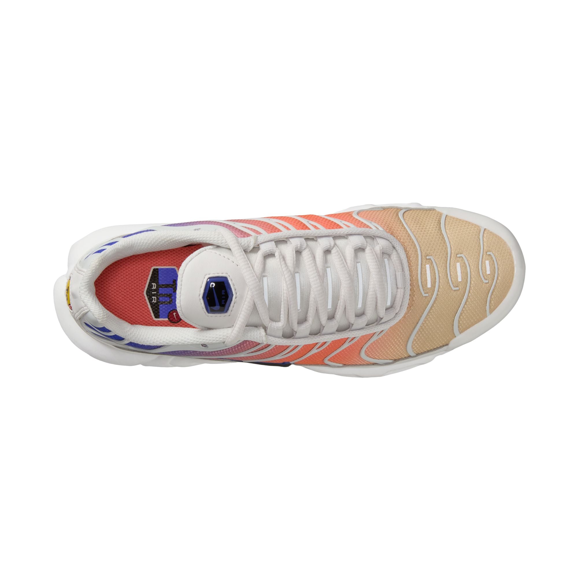Nike Multicolor Air Max Plus Sneakers Platinum Tint Black