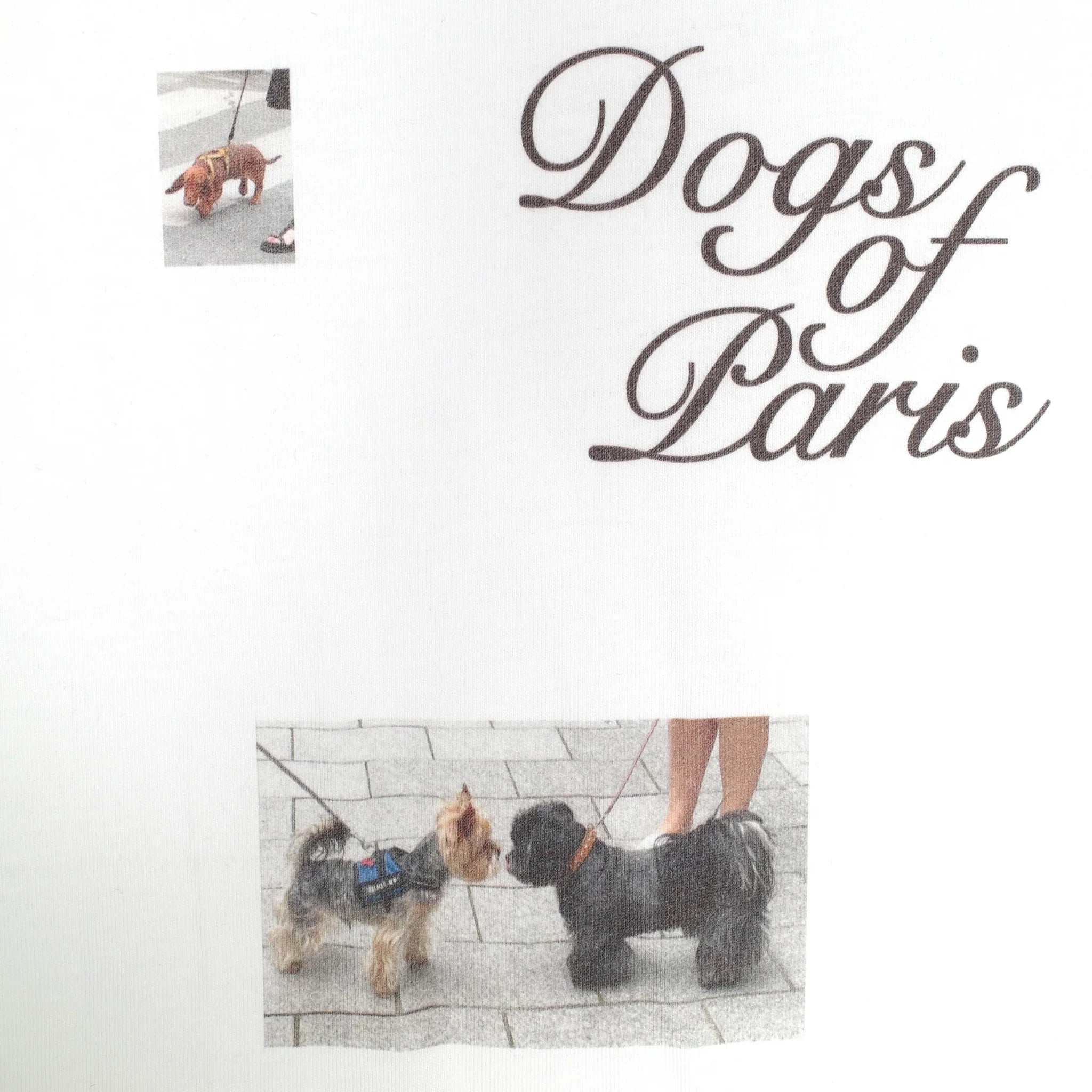 Jungles Jungles Dogs Of Paris Tee 'White'