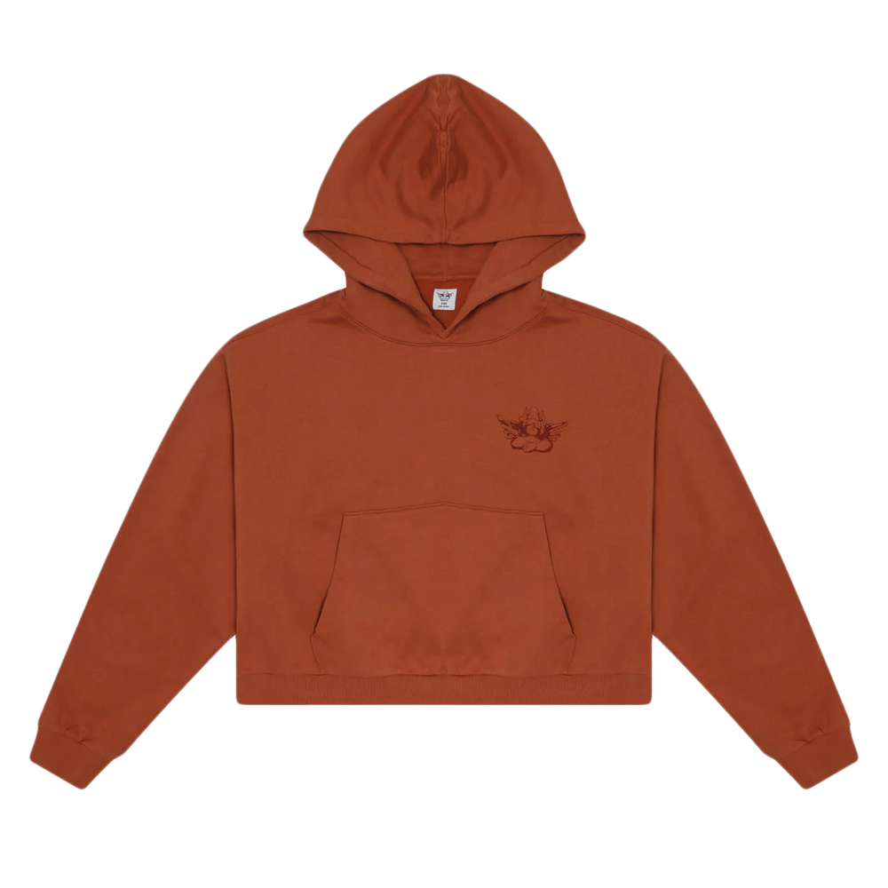 Boys Lie Turn The Tables Hoodie 'Rust'