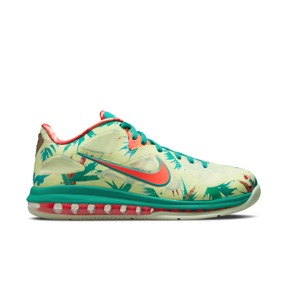 Nike Lebron 9 Low 'Lebronald'