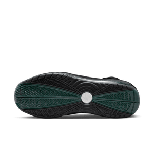 
                  
                    Load image into Gallery viewer, Nike Lebron 7 Retro &amp;#39;Black FAMU&amp;#39;
                  
                