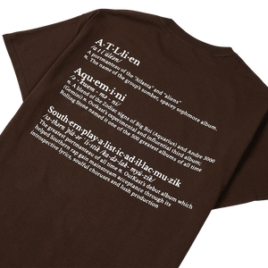 
                  
                    Load image into Gallery viewer, Pleasures Vocabulary T-Shirt &amp;#39;Brown&amp;#39;
                  
                