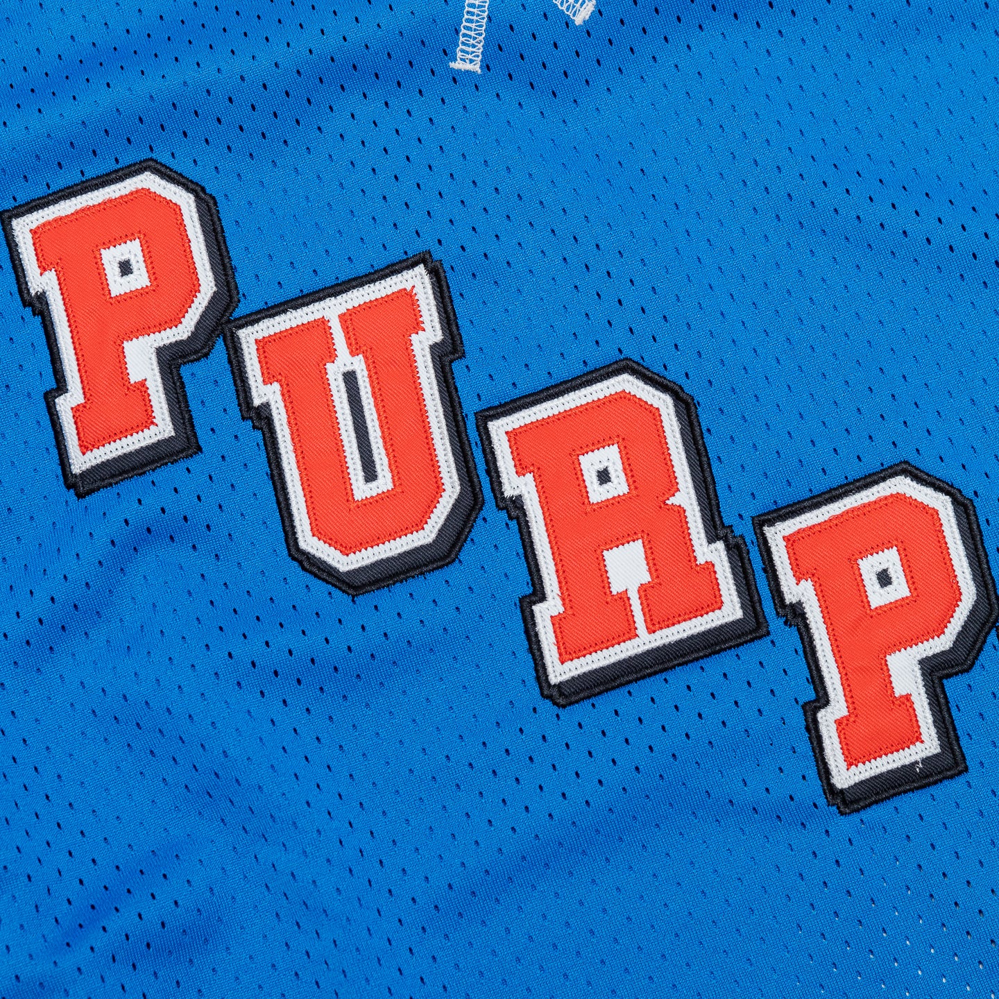 PURPLE Team Mesh Long Sleeve Top 'Blue'