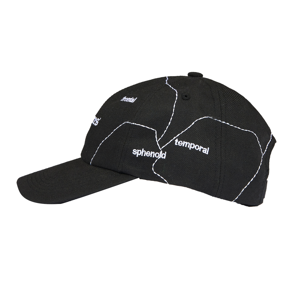 
                  
                    Load image into Gallery viewer, Pleasures Think 6 Panel Hat &amp;#39;Black&amp;#39;
                  
                